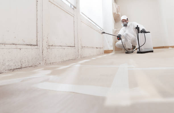 24/7 Emergency Black Mold Removal experts in Bedford, TX